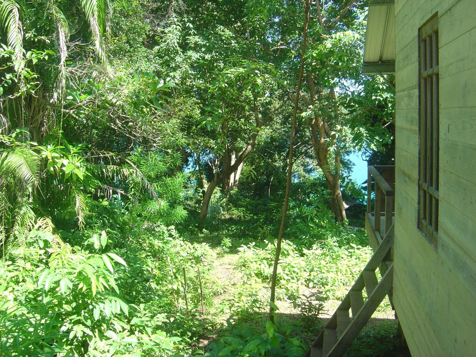 Olala Cafe & Bungalows Sabong Exterior foto